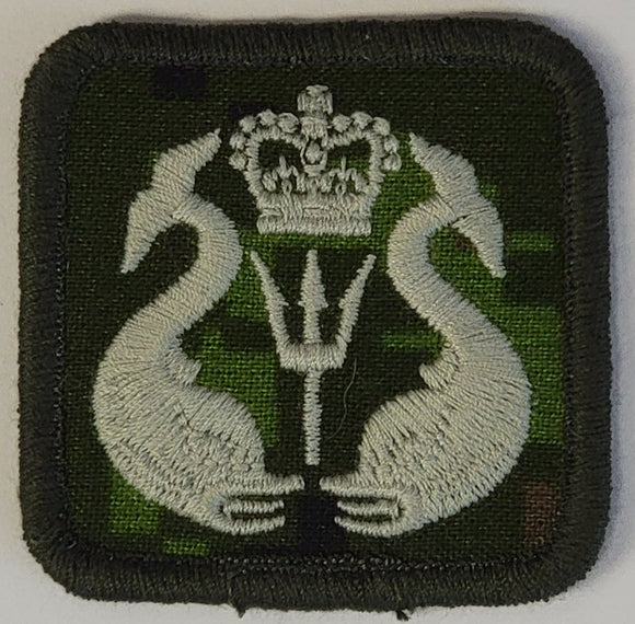 CADPAT Army Special Skill Badge, Ship's and Shallow Water Diver