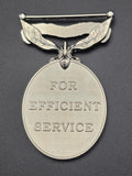 Territorial Efficiency Medal GVI