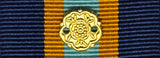 Ribbon Bar, Airforce Cadet Long Service