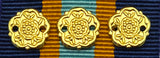 Ribbon Bar, Airforce Cadet Long Service