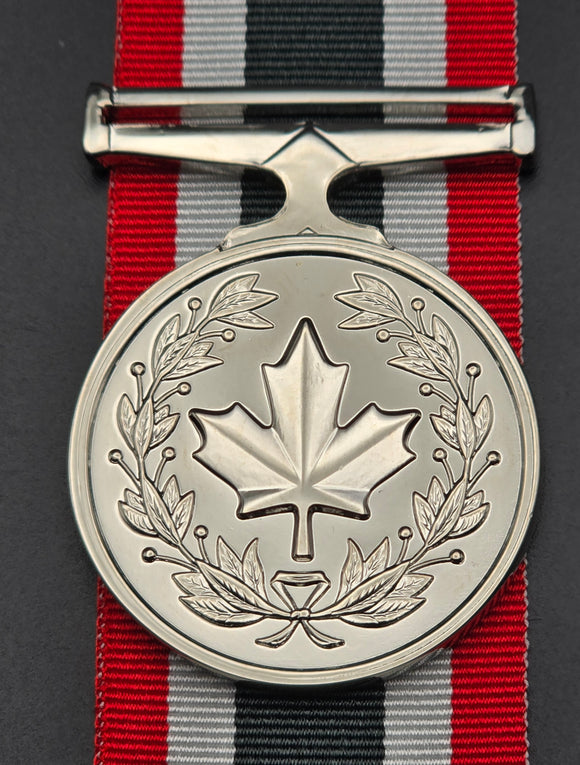 Special Service Medal (EIIR)