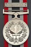 Special Service Medal (CIII)