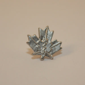 Exemplary Service Medal, EMS, Lapel Pin