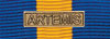 Ribbon Bar, ESDP